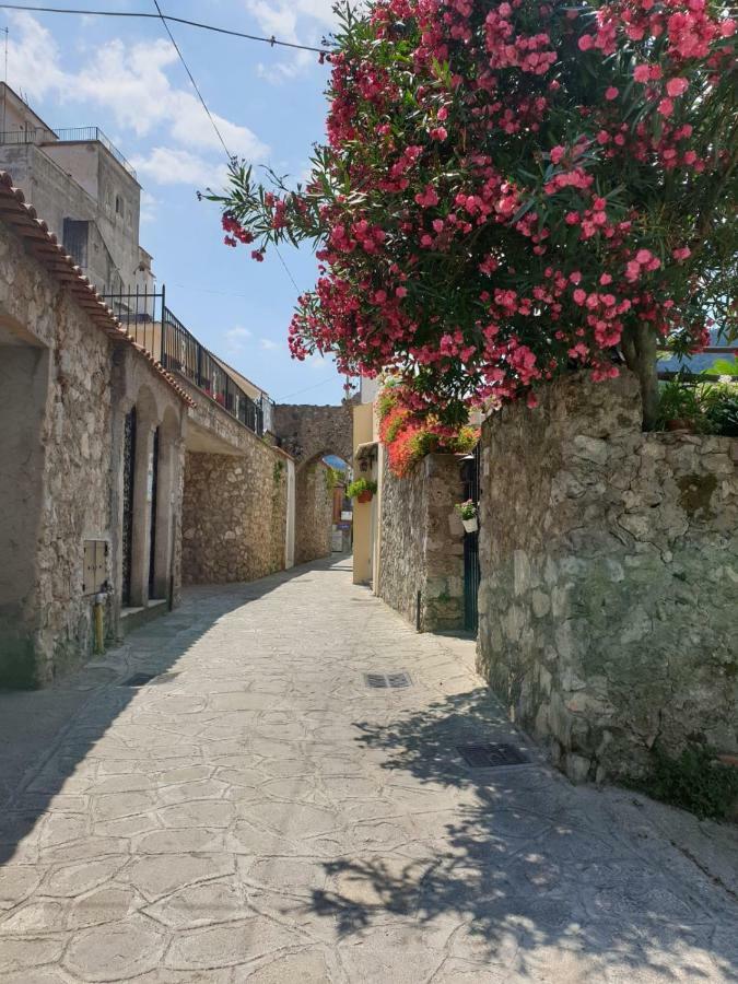Casa Ponticeto Leilighet Ravello Eksteriør bilde